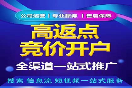 百度平台推广：成功案例解析与效果分析